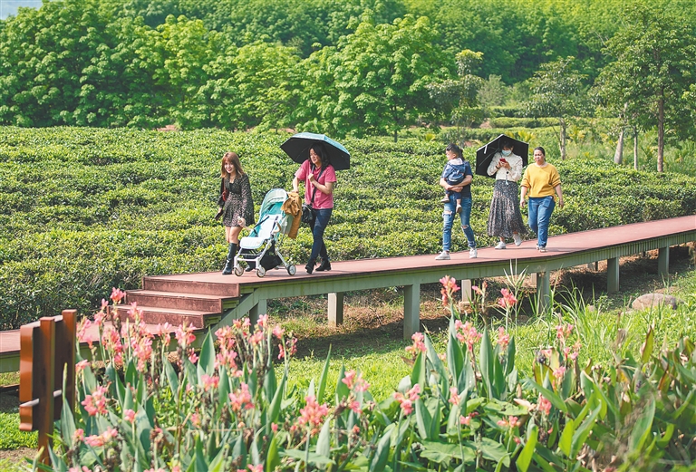 海南省研學旅行基地評估認定及管理辦法(試行)